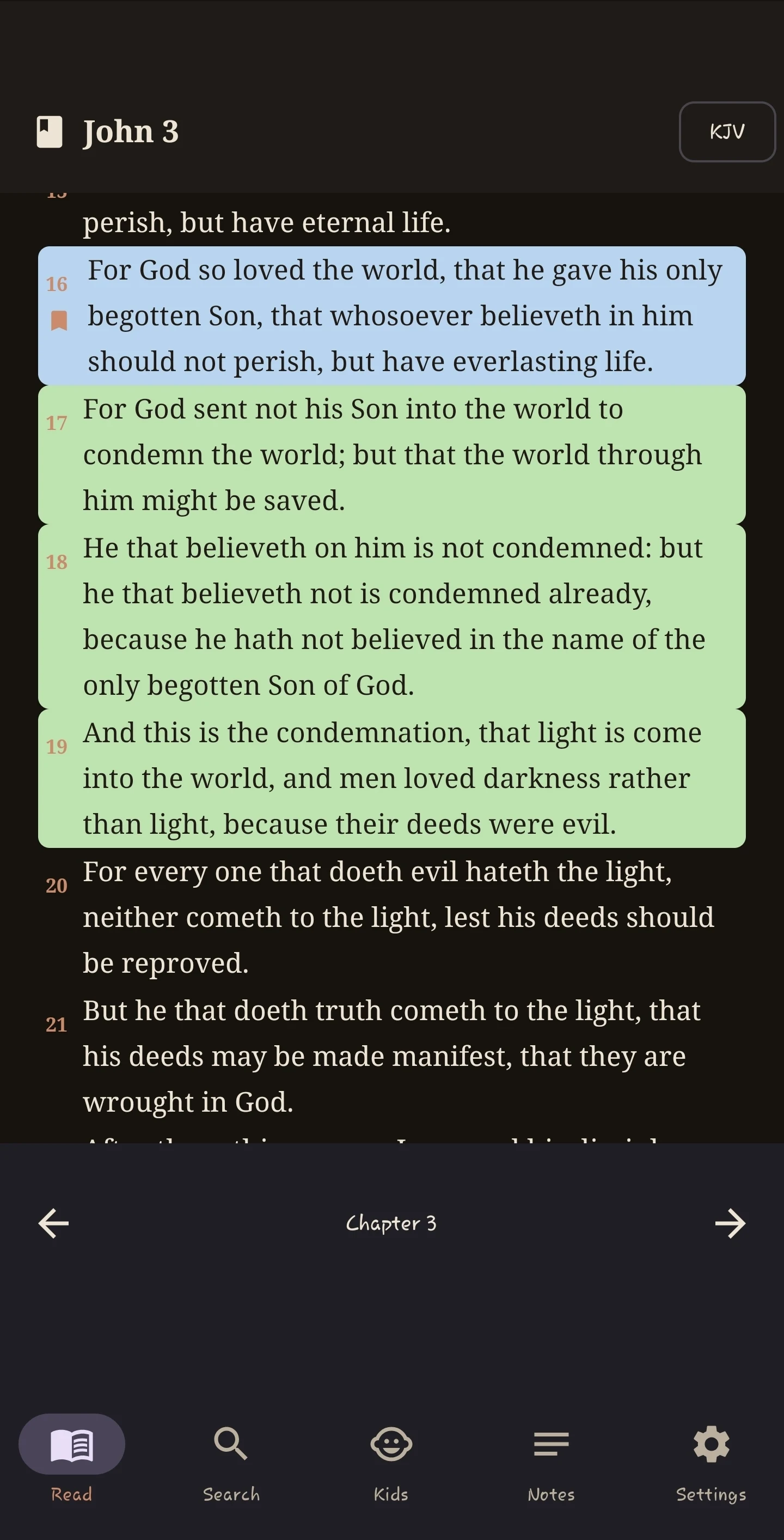 Holy Bible: Offline KJV & Kids screenshot