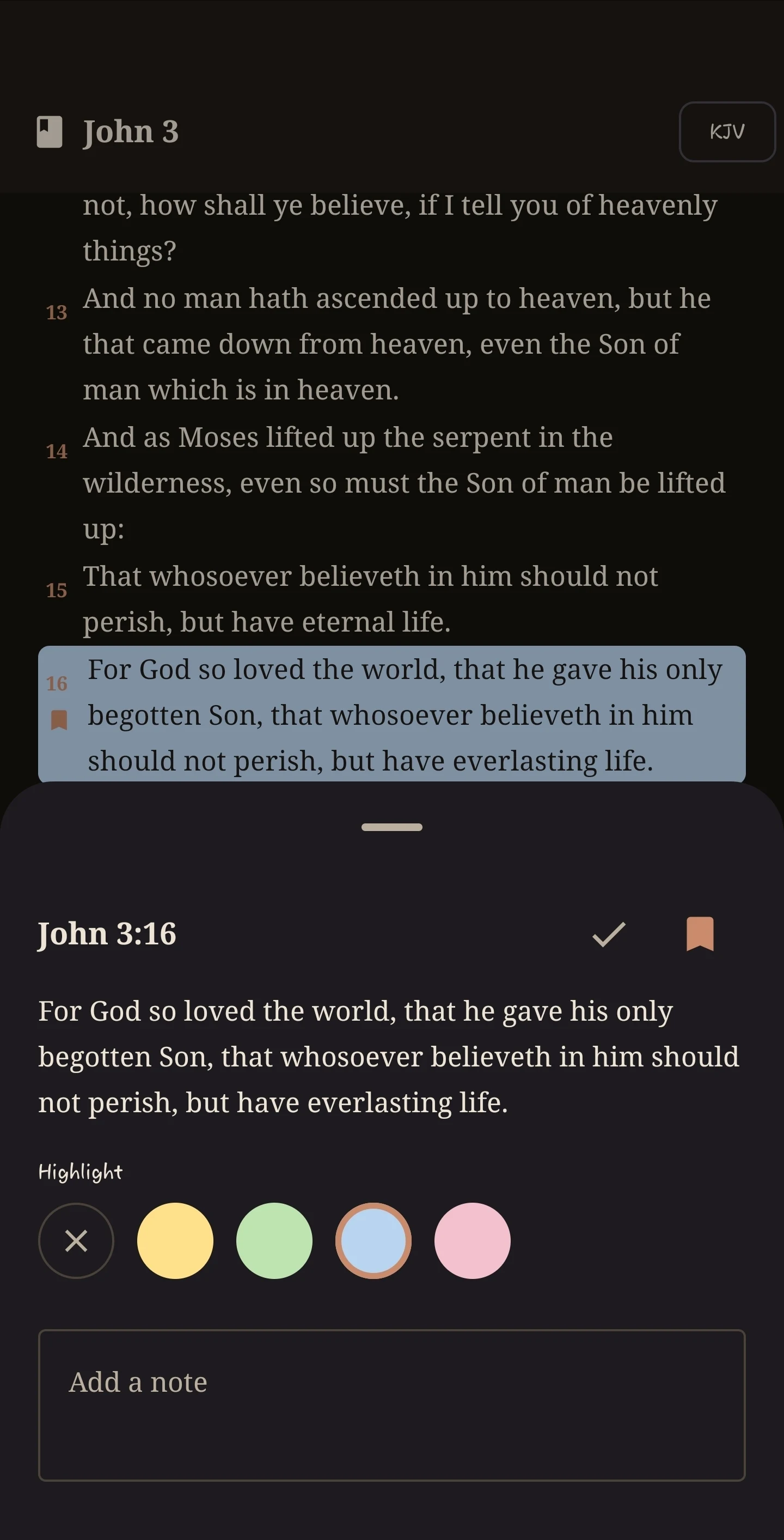 Holy Bible: Offline KJV & Kids screenshot